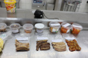 Banco de Alimentos da Ceasa Paraná reaproveita mais de 2 milhões de hortigranjeiros.foto Karin Jaqueline de Paula/Ceasa