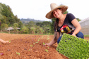 Maisa de Amorin Valoski, produtora de orgânios no bairro Colônia Muricy, em São José dos Pinhais -  Foto: TECPAR