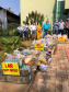 Com 10 mil mudas distribuídas, IAT beneficia famílias de Campo Mourão com 8,8 toneladas de alimentosAção já aconteceu em 12 municípios e arrecadou mais de 30 toneladas de alimentos. A campanha faz parte do programa Paraná Mais Verde, que prevê o plantio de 10 milhões de mudas nativas nos próximos anos.  - - Curitiba, 19/08/2021  -  Foto: SEDEST
