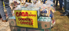 Com 10 mil mudas distribuídas, IAT beneficia famílias de Campo Mourão com 8,8 toneladas de alimentosAção já aconteceu em 12 municípios e arrecadou mais de 30 toneladas de alimentos. A campanha faz parte do programa Paraná Mais Verde, que prevê o plantio de 10 milhões de mudas nativas nos próximos anos.  - - Curitiba, 19/08/2021  -  Foto: SEDEST