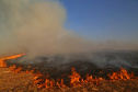  Impacto da seca vai além do abastecimento de água. Foto: Gilson Abreu/AEN