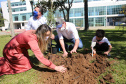 Campanha Floresce Paraná realiza distribuição e plantio de mudas de árvores nativas na sexta-feira. Foto: Geraldo Bubniak/AEN