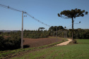 Copel investe R$ 1,9 bilhão em 2021 em geração, linhas de transmissão e obras de modernização. Foto:Ari Dias/AEN.