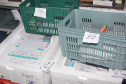 Mais de meio milhão de vacinas contra a Covid-19 serão distribuídas nesta sexta-feira. Foto: Américo Antonio/SESA