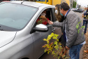 A primeira-dama Luciana Saito Massa, que preside o Conselho de Ação Solidária, e o secretário de Desenvolvimento Sustentável e do Turismo, Márcio Nunes, participam  da distribuição de mudas da campanha Floresce Paraná.F oto: Ari Dias/AEN