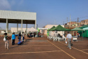 Programa CastraPet esteriliza gratuitamente animais em Guarapuava até a próxima terça-feira. Foto:SEDEST