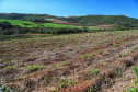 Gengibre e inhame impulsionam a agricultura familiar em Tamarana, na Região Norte. Foto: José Fernando Ogura/AEN
