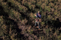  Gengibre e inhame impulsionam a agricultura familiar em Tamarana, na Região Norte. Na foto. o André Gouveia da Fonseca.Foto: José Fernando Ogura/AEN