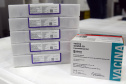 O Paraná recebeu na noite desta segunda-feira (30) mais 182.100 doses de vacinas contra a Covid-19. As 64.350 doses da Pfizer/BioNTech desembarcaram no Aeroporto Internacional Afonso Pena, em São José dos Pinhais, às 19h10 e, logo depois, chegaram mais 117.750 doses da AstraZeneca/Fiocruz.  -  Curitiba, 30/08/2021  -  Foto: Américo Antonio/SESA