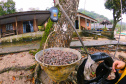 Portos do Paraná ensina tecnologia ?caxambu? nas comunidadesisoladas - Sistema de proteção de nascentes evita contaminação da água. Trabalho faz parte doprojeto de readequação de microssistemas de abastecimento de água nas áreas deabrangência dos portos paranaenses.  -  Paranaguá, 31/08/2021  -  Foto: Pierpaolo Notta/Portos do Paraná