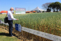 O  o secretário estadual da Agricultura e do Abastecimento, Norberto Ortigara, participa da abertura do 2º Show Rural Coopavel de Inverno, em Cascavel. Foto:SEAB
