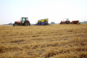 Produtores de milho começam plantio da primeira safra no Paraná.  Foto:Jaelson Lucas / Arquivo AEN