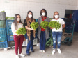 Visita a Horta Marumbi - A equipe da Secretaria da Agricultura e do Abastecimento do Paraná recebe equipe da SEAB Rondônia para apresentar soluções implantadas em Curitiba sobre o cultivo de alimentos. 03/09/2021 - Foto: SEAB