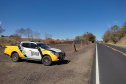 Feriado da Independência terá fiscalização redobrada pelo BPRv nas rodovias estaduais Foto: PMPR