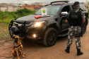 O trabalho integrado das Polícias Civil e Militar, coordenados pela Secretaria da Segurança Pública do Paraná (Sesp), no combate ao tráfico de drogas no Estado, resultou em um aumento de 13,56% na quantidade de drogas apreendidas (maconha, cocaína e crack), no primeiro semestre de 2021, se comparado ao mesmo período de 2020