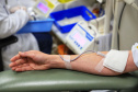 Estado reforça importância da doação de sangue para salvar vidas  -  Foto: José Fernando Ogura/AEN
