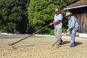 Plantação de café em Carlópolis. Na foto, Joaquim Teixeira da Luz (pai) e Marcelo Valdevino da Luz (filho)  07/2021 . Foto: José Fernando Ogura/AEN