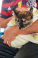 O Programa Permanente de Esterilização de Cães e Gatos (CastraPet Paraná)se despede do município de Boa Ventura de São Roque, no Centro do Estado,nessa sexta-feira (10) com o dever cumprido.  -  Curitiba, 10/09/2021  -  Foto: SEDEST