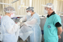 Clínica de Odontologia da UENP atende a 22 municípios do Norte Pioneiro do Paraná. Foto: UENP
