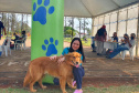 209 animais foram atendidos no Programa Permanente de Esterilização deCães e Gatos (CastraPet Paraná), em Arapongas, no Norte-CentralParanaense. A ação começou no domingo (12) e terminou nessa quarta-feira(15). -  Curitiba,  15/09/2021  -  Foto: SEDEST