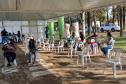 209 animais foram atendidos no Programa Permanente de Esterilização deCães e Gatos (CastraPet Paraná), em Arapongas, no Norte-CentralParanaense. A ação começou no domingo (12) e terminou nessa quarta-feira(15). -  Curitiba,  15/09/2021  -  Foto: SEDEST