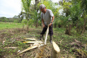 PARANA AGRO - Produçao de Palmito na cidade de Guaraquecaba no litoral do Estado. Na foto, o agricultor Francelino Guilherme Cogrossi - 13/09/21 - Foto: Geraldo Bubniak/AEN