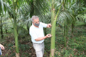 PARANA AGRO - Produçao de Palmito na cidade de Guaraquecaba no litoral do Estado. Na foto, Sebastião Bellettini, gerente regional da Emater em Paranaguá.  13/09/21 - Foto: Geraldo Bubniak/AEN