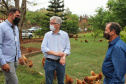 O trabalho de um consórcio intermunicipal e o apoio do governo estadual estão ajudando a fortalecer a agricultura familiar na região do Vale do Ivaí, no Norte do Paraná
