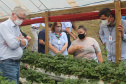 O trabalho de um consórcio intermunicipal e o apoio do governo estadual estão ajudando a fortalecer a agricultura familiar na região do Vale do Ivaí, no Norte do Paraná
