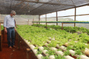 O trabalho de um consórcio intermunicipal e o apoio do governo estadual estão ajudando a fortalecer a agricultura familiar na região do Vale do Ivaí, no Norte do Paraná