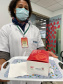 Secretaria de Estado da Saúde mobiliza servidores para doação de sangue. Foto:SESA
