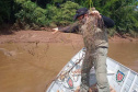 IAT e Polícia Ambiental renovam parceria na fiscalização do Estado. Foto:SEDEST