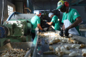 Com melhor resultado do Sul em agosto, Paraná abre 153 mil vagas de emprego no ano. Foto:José Fernando Ogura/AEN