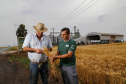 31.09.2021 - Plantação de trigo, região de Tibagi/Pr
Foto Gilson Abreu/AEN