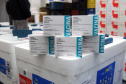 As 344.210 doses da vacina contra a Covid-19 referentes à 56ª pauta de distribuição do Ministério da Saúde chegaram ao Paraná nesta terça-feira (5). Foto: Américo Antonio/SESA