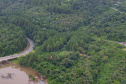 Paraná é o segundo maior produtor florestal do País, segundo IBGE
. Na foto, Telêmaco Borba. Foto: José Fernando Ogura/AEN