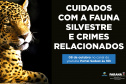 Duas lives, nesta quinta e sexta-feira (07 e 08) destacam os cuidados e a criminalização aos animais domésticos e silvestres no Estado do Paraná. As lives começam às 16 horas, transmitidas ao vivo pelo Canal do Youtube da Secretaria do Desenvolvimento Sustentável e do Turismo (Sedest). - Foto: SEDEST