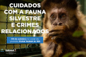 Duas lives, nesta quinta e sexta-feira (07 e 08) destacam os cuidados e a criminalização aos animais domésticos e silvestres no Estado do Paraná. As lives começam às 16 horas, transmitidas ao vivo pelo Canal do Youtube da Secretaria do Desenvolvimento Sustentável e do Turismo (Sedest). - Foto: SEDEST