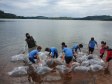 Rio Iguaçu recebe mais 310 mil peixes nativos juvenis. Foto: SEDEST 