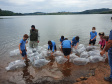 Rio Iguaçu recebe mais 310 mil peixes nativos juvenis. Foto: SEDEST 