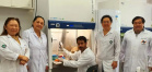 UEL: Antibiótico desenvolvido com óleo de copaíba apresenta menor toxicidade para o paciente; Foto: Uel