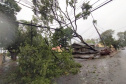 Copel e Sanepar trabalham para restabelecer luz e água em municípios atingidos por temporal. Foto: Copel