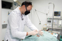 Uma filhote de onça-parda foi submetida a uma cirurgia com células-tronco no Centro de Atendimento à Fauna Silvestre (CAFS), no Hospital Universitário Veterinário da UNIFIL. A Instituição se tornou oficialmente um Centro parceiro do Instituto Água e Terra (IAT) em julho deste ano.  -  Curitiba, 14/10/2021 - Foto: Unifil