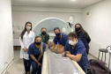 Uma filhote de onça-parda foi submetida a uma cirurgia com células-tronco no Centro de Atendimento à Fauna Silvestre (CAFS), no Hospital Universitário Veterinário da UNIFIL. A Instituição se tornou oficialmente um Centro parceiro do Instituto Água e Terra (IAT) em julho deste ano.  -  Curitiba, 14/10/2021 - Foto: Unifil