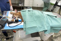 Uma filhote de onça-parda foi submetida a uma cirurgia com células-tronco no Centro de Atendimento à Fauna Silvestre (CAFS), no Hospital Universitário Veterinário da UNIFIL. A Instituição se tornou oficialmente um Centro parceiro do Instituto Água e Terra (IAT) em julho deste ano.  -  Curitiba, 14/10/2021 - Foto: Unifil