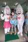 A Secretaria de Estado da Saúde (Sesa) realiza neste sábado (16) o dia D de mobilização nacional da campanha de Multivacinação em crianças e adolescentes menores de 15 anos (14 anos, 11 meses e 29 dias).-  Curitiba, 16/10/2021 -  Foto: Multivacinação/SESA