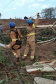 Nas últimas 24 horas, mais de 40 mil domicílios tiveram o fornecimento de energia regularizado pelas equipes de emergência, manutenção e obras da Copel, que seguem trabalhando para recompor as redes elétricas danificadas pelas chuvas que atingiram as regiões Oeste e Noroeste do Estado no fim da semana. Na foto, Equipes trabalham nos reparos em Francisco Alves  - Curitiba, 16/10/2021  -  Foto: Copel 