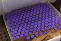 Um novo carregamento com 318.240 doses de vacinas contra a Covid-19 chega no Centro de Medicamentos do Paraná (Cemepar), em Curitiba, na noite desta terça-feira (19).   Desse total, 228.150 doses  Pfizer/BioNTech  são exclusivas para a população de 12 a 17 anos, sem comorbidades ou pertencentes a grupos prioritários.Foto: Geraldo Bubniak/AEN