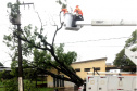 O balanço dos estragos causados pelo temporal contabiliza quase 1,2 mil postes e nove torres de transmissão derrubados pela força dos ventos e pela queda de galhos e árvores. Cidades inteiras chegaram a ficar sem energia e para recompor o fornecimento de luz, desde a madrugada do dia 14, cerca de 1.800 eletricistas estiveram em campo. Mais de 20 mil ocorrências foram atendidas, a fim de regularizar o fornecimento. - Curitiba, 21/10/2021 - Foto: Copel
