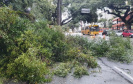 Vendaval e chuva de granizo provocam estragos em 16 municípios do estado.Foto:SEJUF
